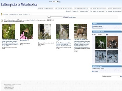 A French gallery illustrating WSN Gallery's multilingual capabilities. customer website